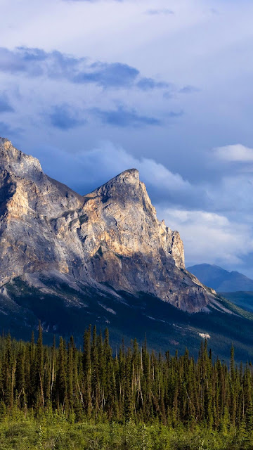 Wallpaper mountains, relief, forest, trees, landscape Wallpaper mountains, relief, forest, trees, landscape