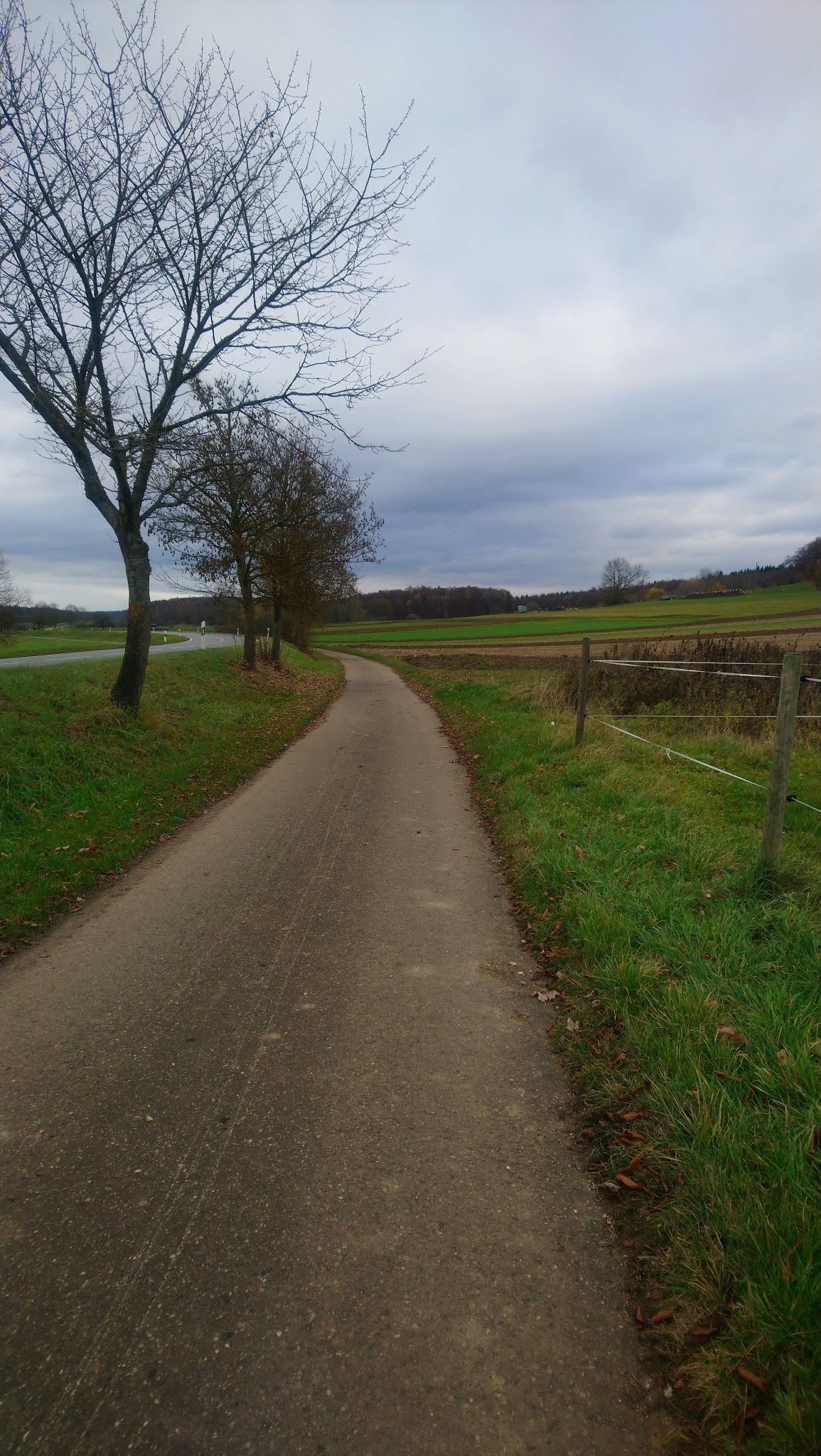 Wir vom Ende der Straße
