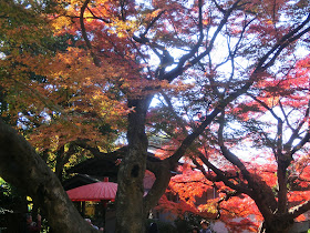 ���q�{�̍g�t