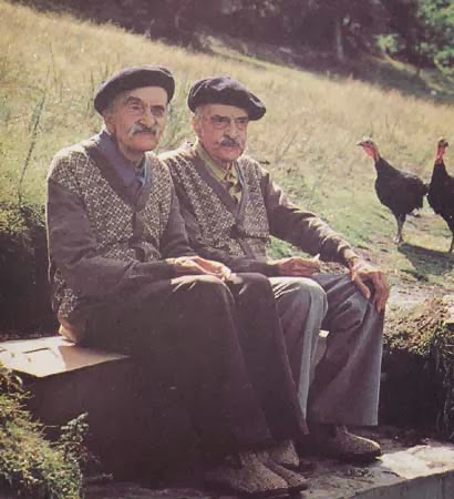 Blague C'est l'histoire de deux jumeaux les