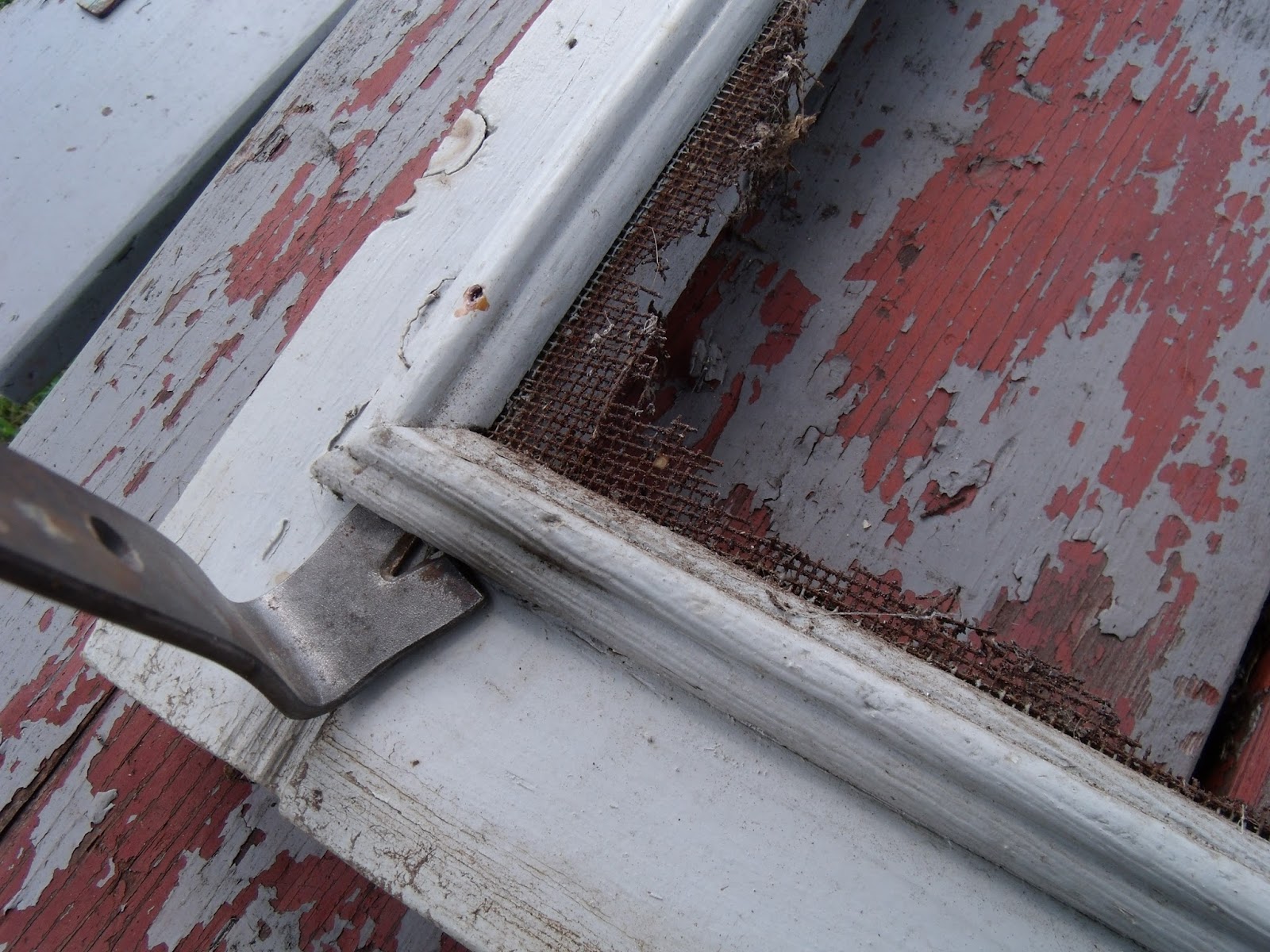 Gear Acres at Top of the Hill Replacing the screen in a wood storm window