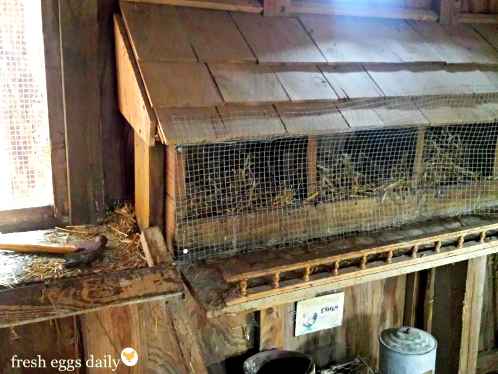 The Secret to Keeping your Chicken Coop Nesting Boxes Clean Fresh