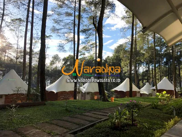 https://www.naradipawisata.co.id/2020/08/paket-wisata-grafika-cikole-lembang.html