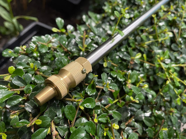 ก้านพ่นยา ทองเหลืองแท้ แรงดันสูง พ่นแรง ราคาถูก ยี่ห้อ วีโกเทค-6