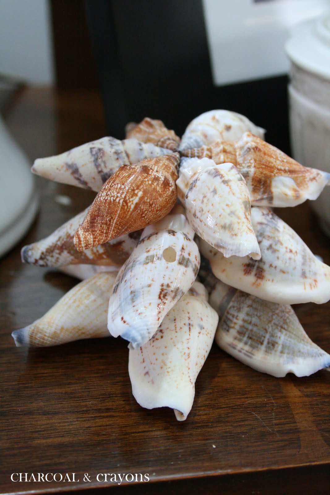 Charcoal and Crayons: Super Simple Seashell Stars