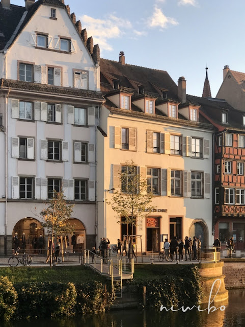 niwibo life is so beautiful Ilex & ein Spaziergang an der Ill