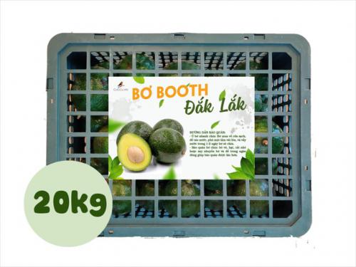 Bơ Booth Đắk Lắk [Combo 20kg]