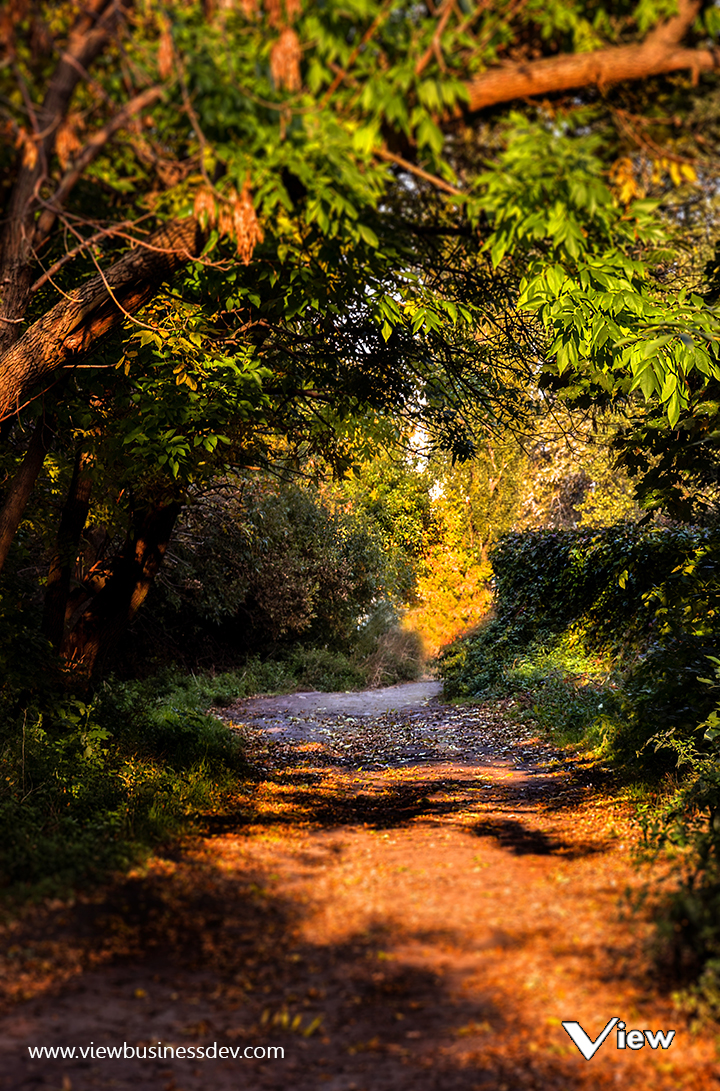 اجمل خلفيات الموبايل ، تحميل خلفيات طبيعية للموبايل