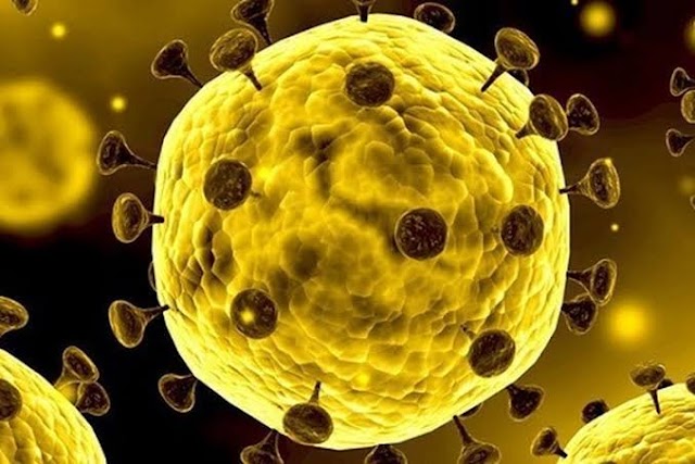 Ini Sederet Fakta Tentang Virus Mematikan Corona