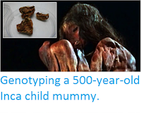 http://sciencythoughts.blogspot.com/2015/11/genotyping-500-year-old-inca-child-mummy.html