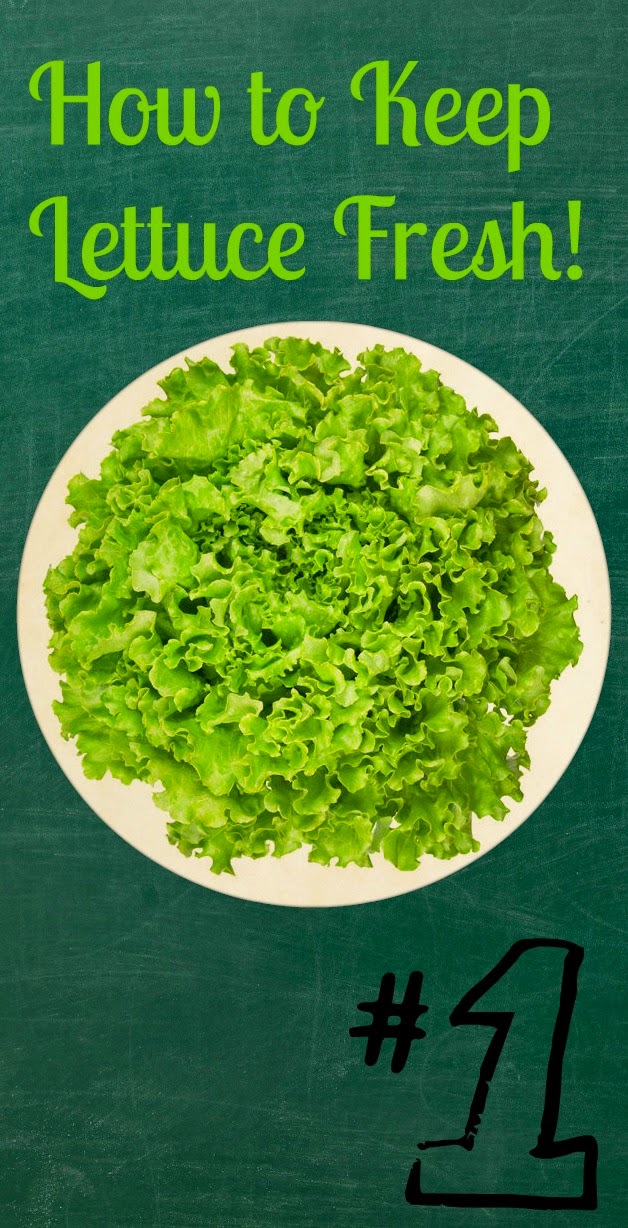 How to Keep Lettuce Fresh! Skin Care And Health Tips