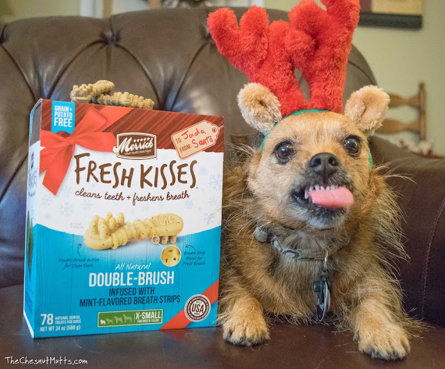 Mini Review: Merrick Fresh Kisses Mint Dental Chews for Dogs