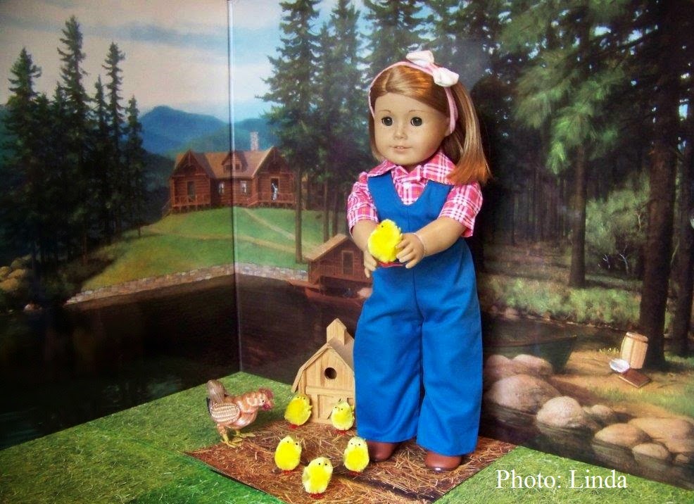 Living A Doll's Life DIY Kit's Chicken Keeping Set