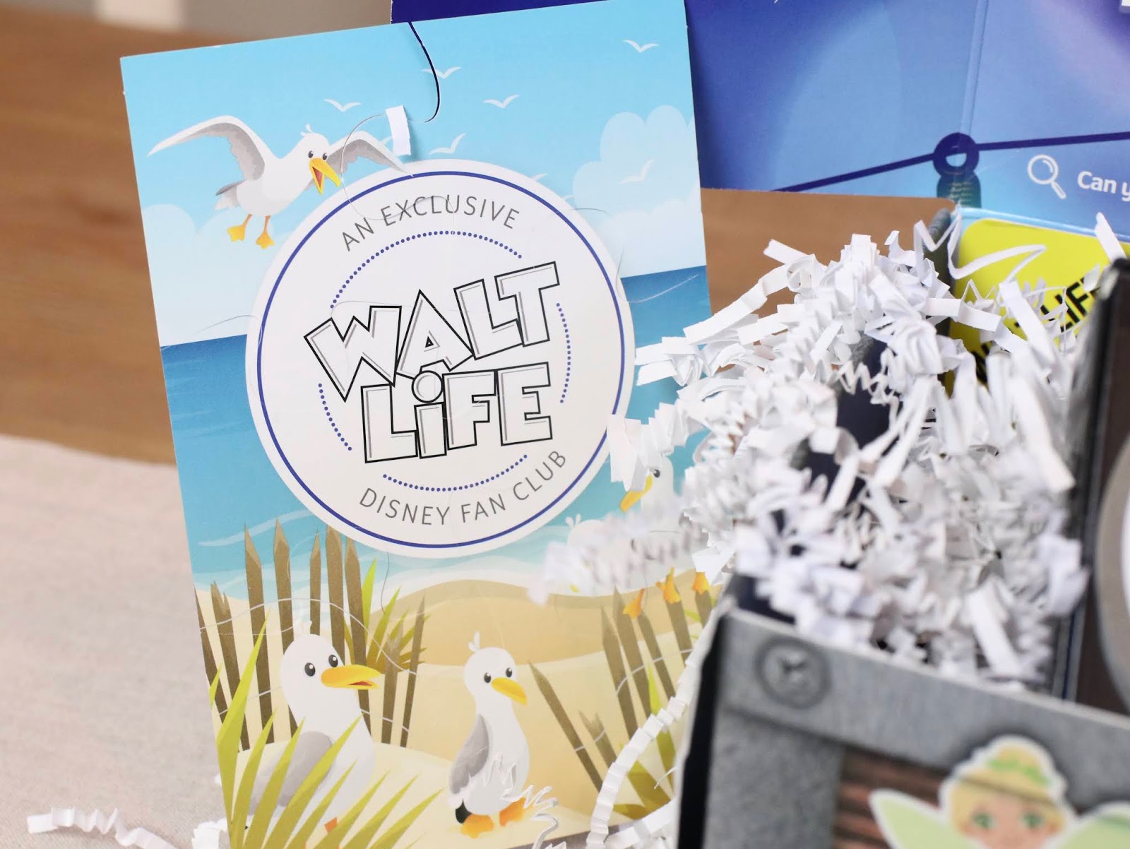 "Walt Life" Monthly Subscription Box REVIEW! 