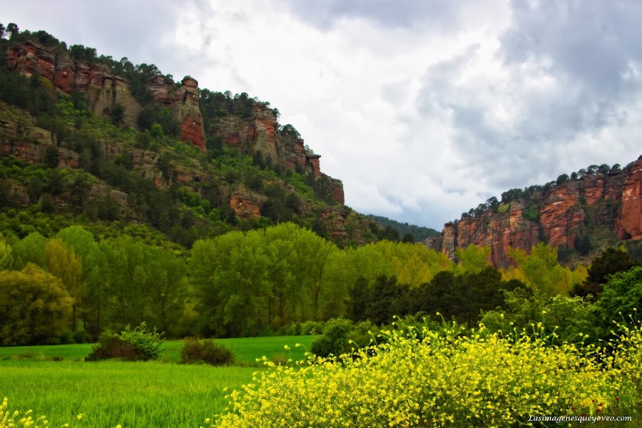 Parque Natural del Alto Tajo