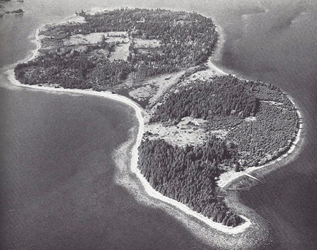 A Different Perspective The Curse of Oak Island The Fourth Season