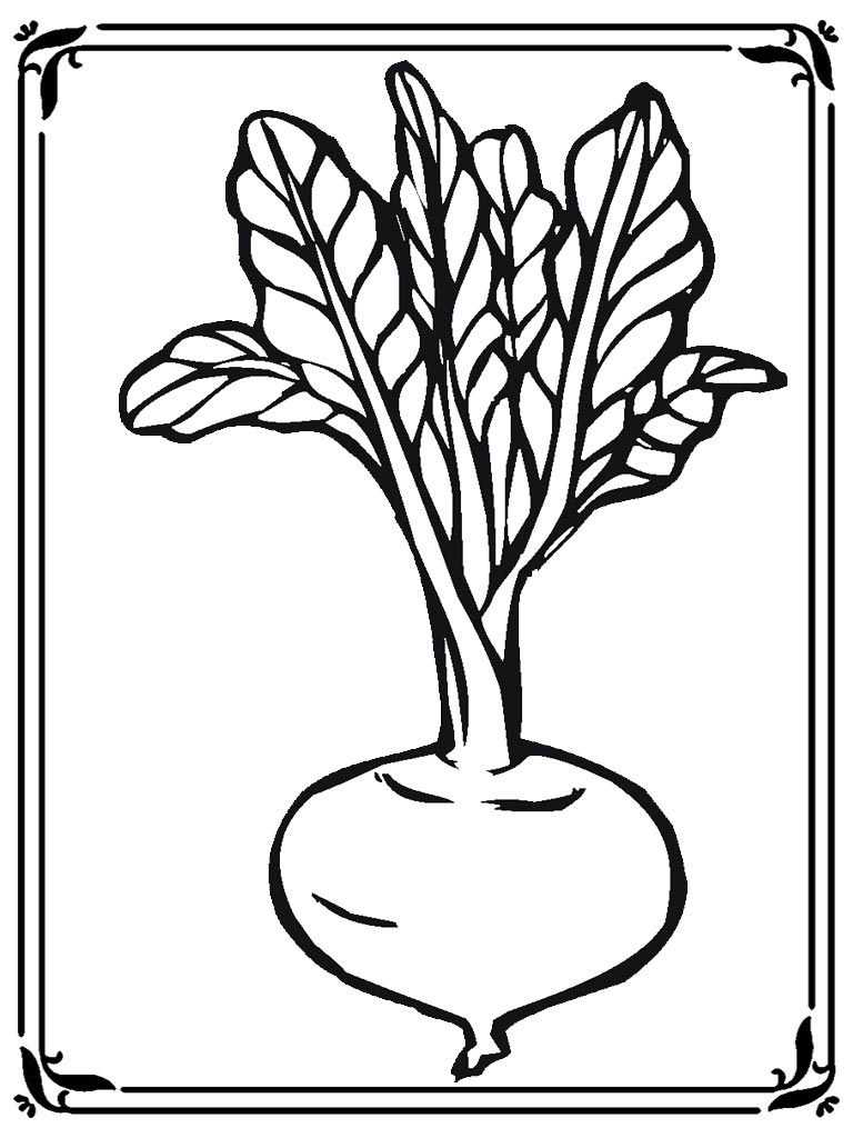 Download Turnip Coloring Coloring Pages