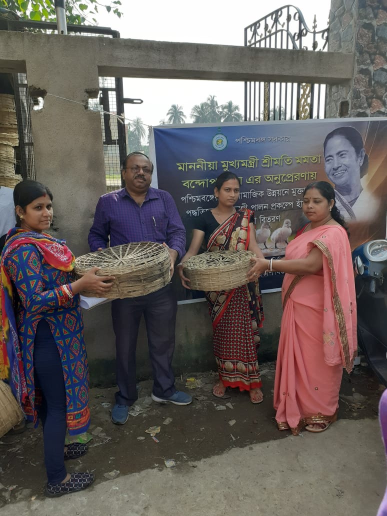 হাওড়ার বালি-জগাছা ব্লকে স্বয়ম্ভরতার লক্ষ্যে উন্নত প্রজাতির মুরগির বাচ্চা বিতরণ 1 হাওড়ার বালি-জগাছা ব্লকে স্বয়ম্ভরতার লক্ষ্যে উন্নত প্রজাতির মুরগির বাচ্চা বিতরণ