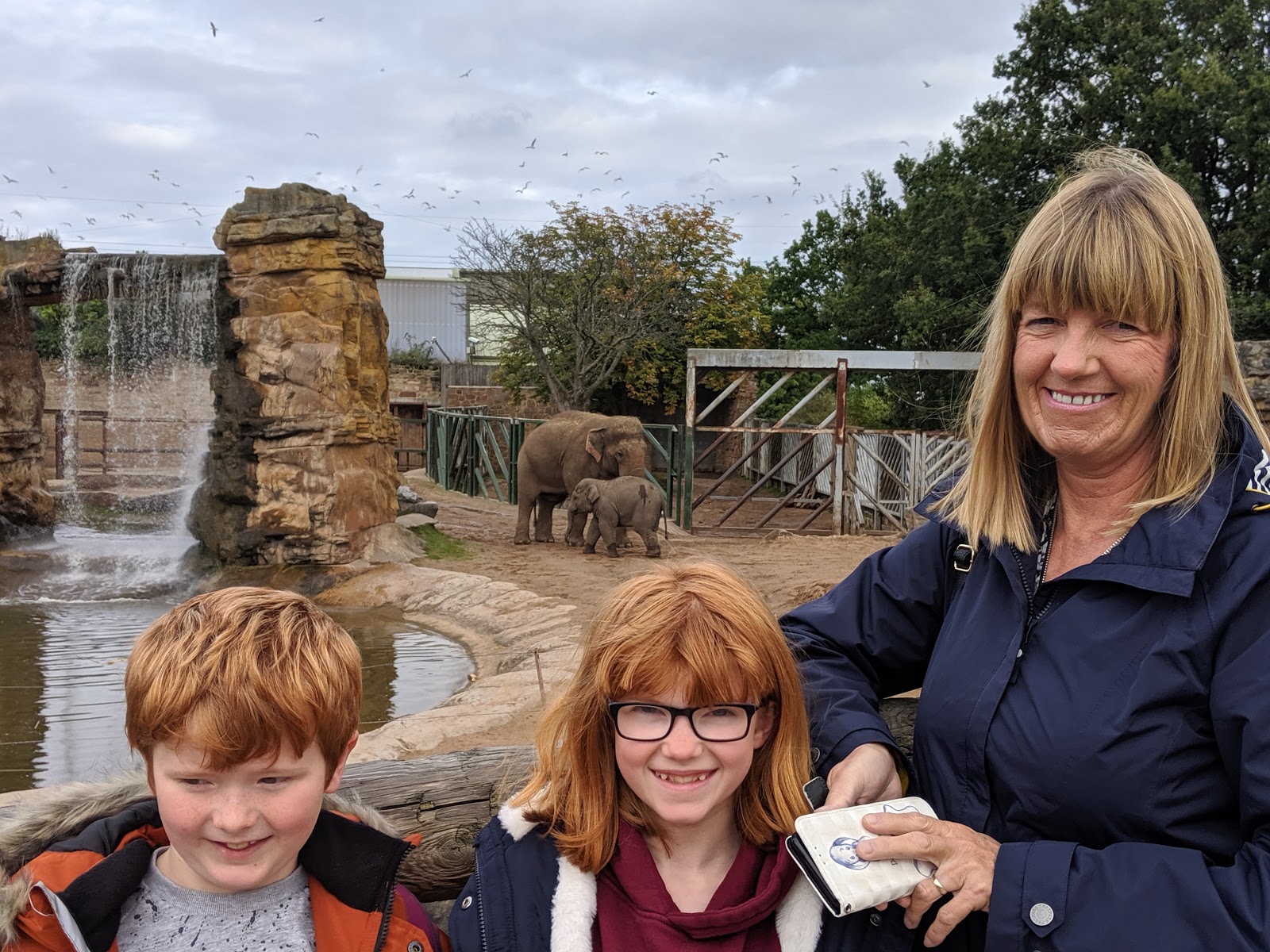 Chester Zoo & Blackpool Tower Bus Trip with National Holidays North