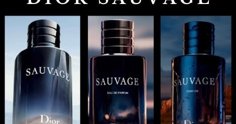 bleu de chanel vs sauvage dior