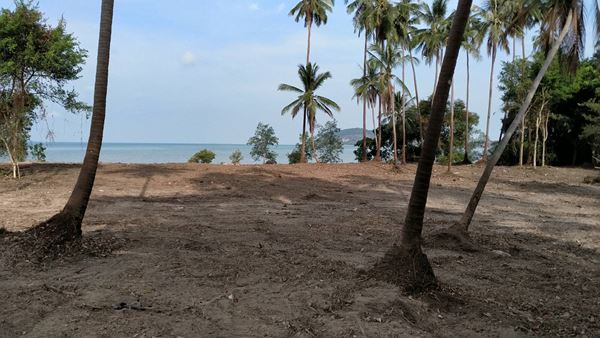 VR Global Property ที่ดินริมทะเลติดหาดสมุย 6 ไร่ 3 งาน 87 ตรว เกาะสมุย สุราษฎร์ธานี