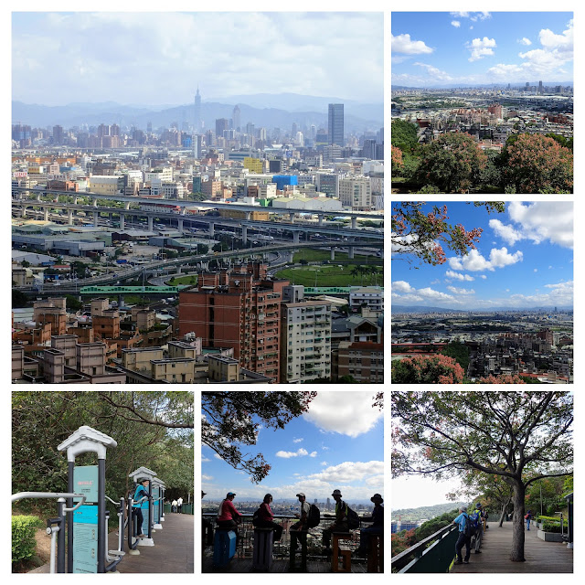 PA260178-COLLAGE.jpg