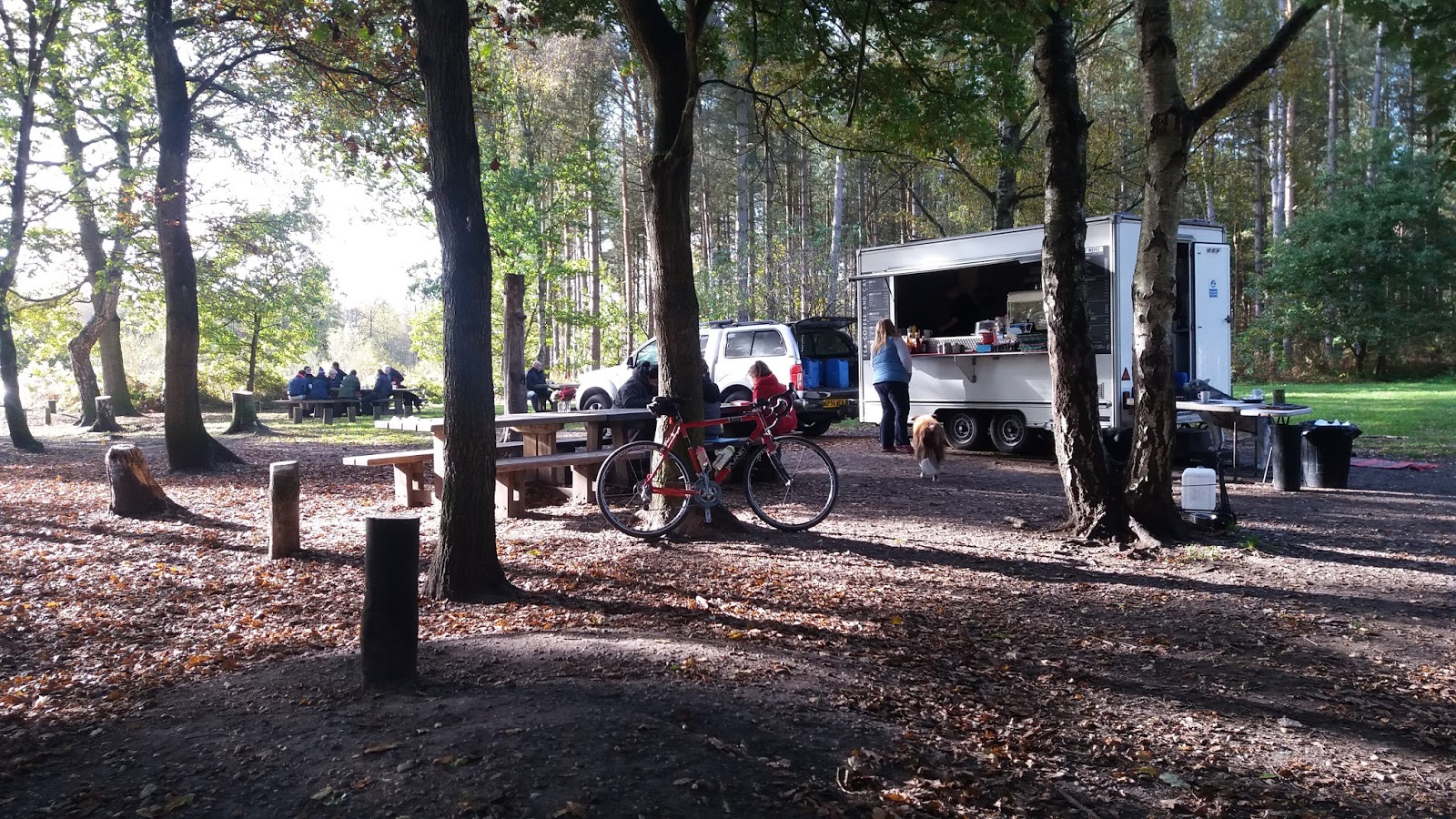 Nottingham Food Lovers 10 of the Best Cafes in Sherwood Forest