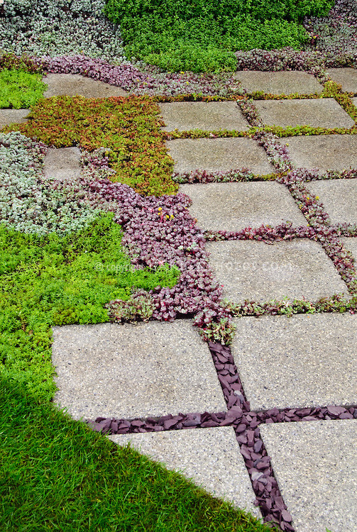 +50 Creative Flagstone Stepping Walkway Ideas! Part2 | Yard Landscape