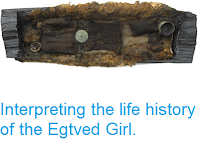 http://sciencythoughts.blogspot.co.uk/2015/06/interpreting-life-history-of-egtved-girl.html