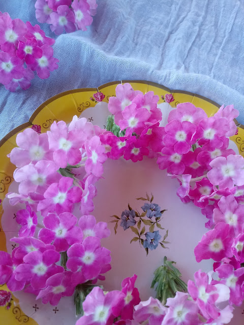 Composición con flor de la verbena de color rosa