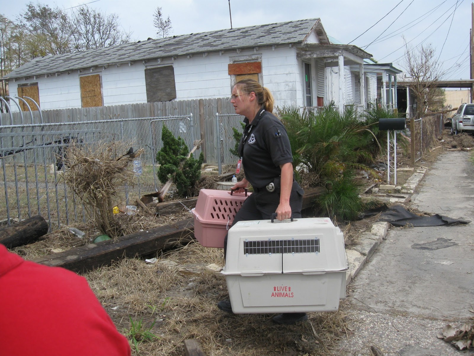 Susie's Reviews Help Support Animal Disaster Preparedness With The