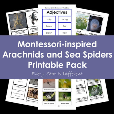 Montessori-inspired Arachnids and Sea Spiders Printable Pack