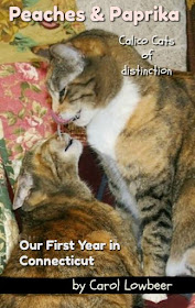 Feline Fiction on Fridays #135 ©BionicBasil® Peaches and Paprika Our First Year in Connecticut Amber's Purrsonal Copy