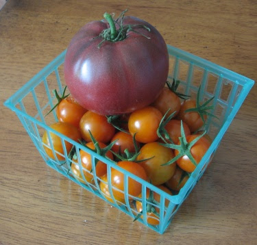 homegrown tomatoes