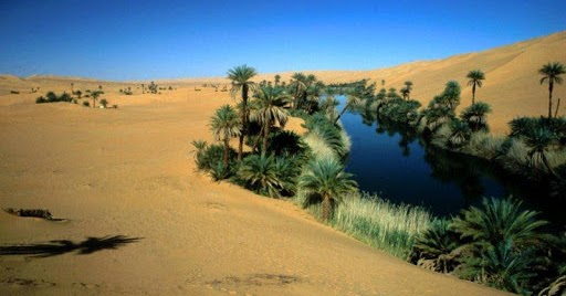 Oasis in the desert...