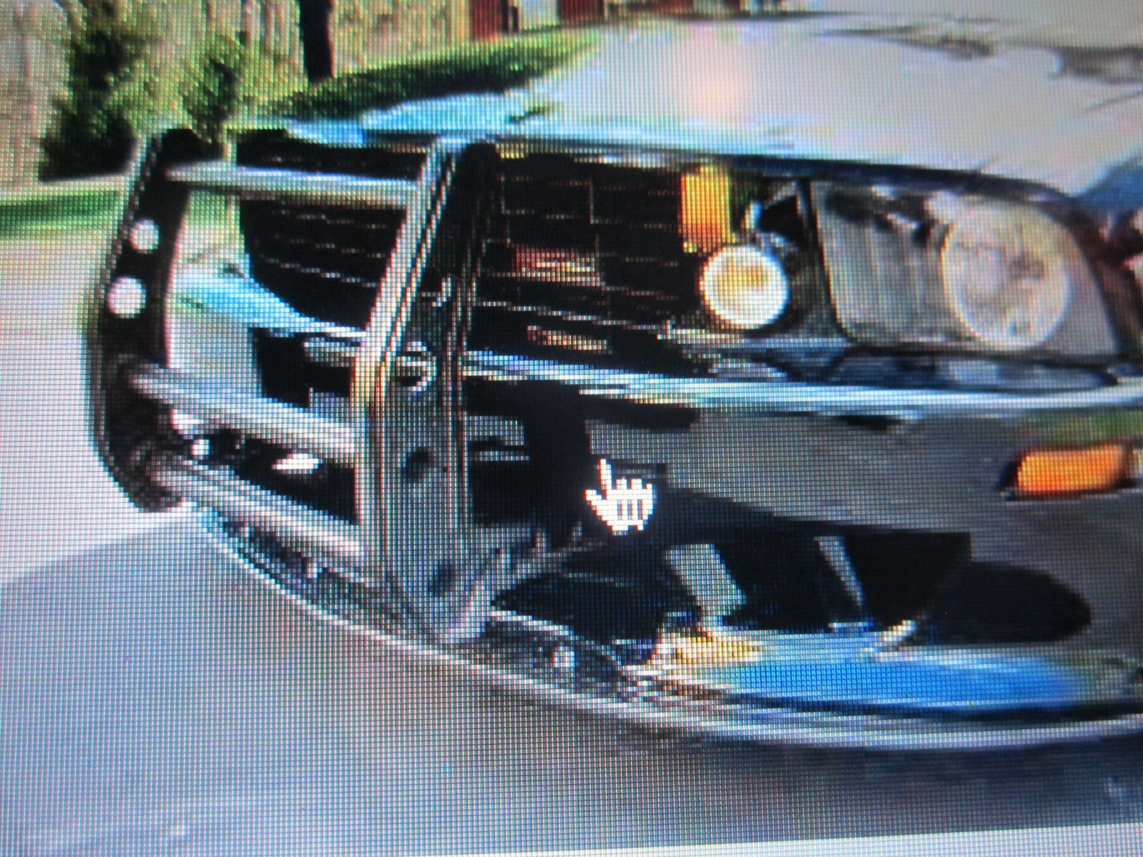 The Grove Guy: BUMPER CAR