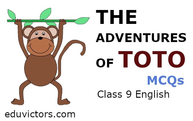 CBSE Papers, Questions, Answers, MCQ ...: CBSE Class 9 English: THE  ADVENTURES OF TOTO (MCQs)(#class9English)(#cbse2021)(#eduvictors)