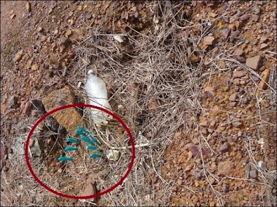 Facas encravadas numa sepultura chamam atenção no cemitério