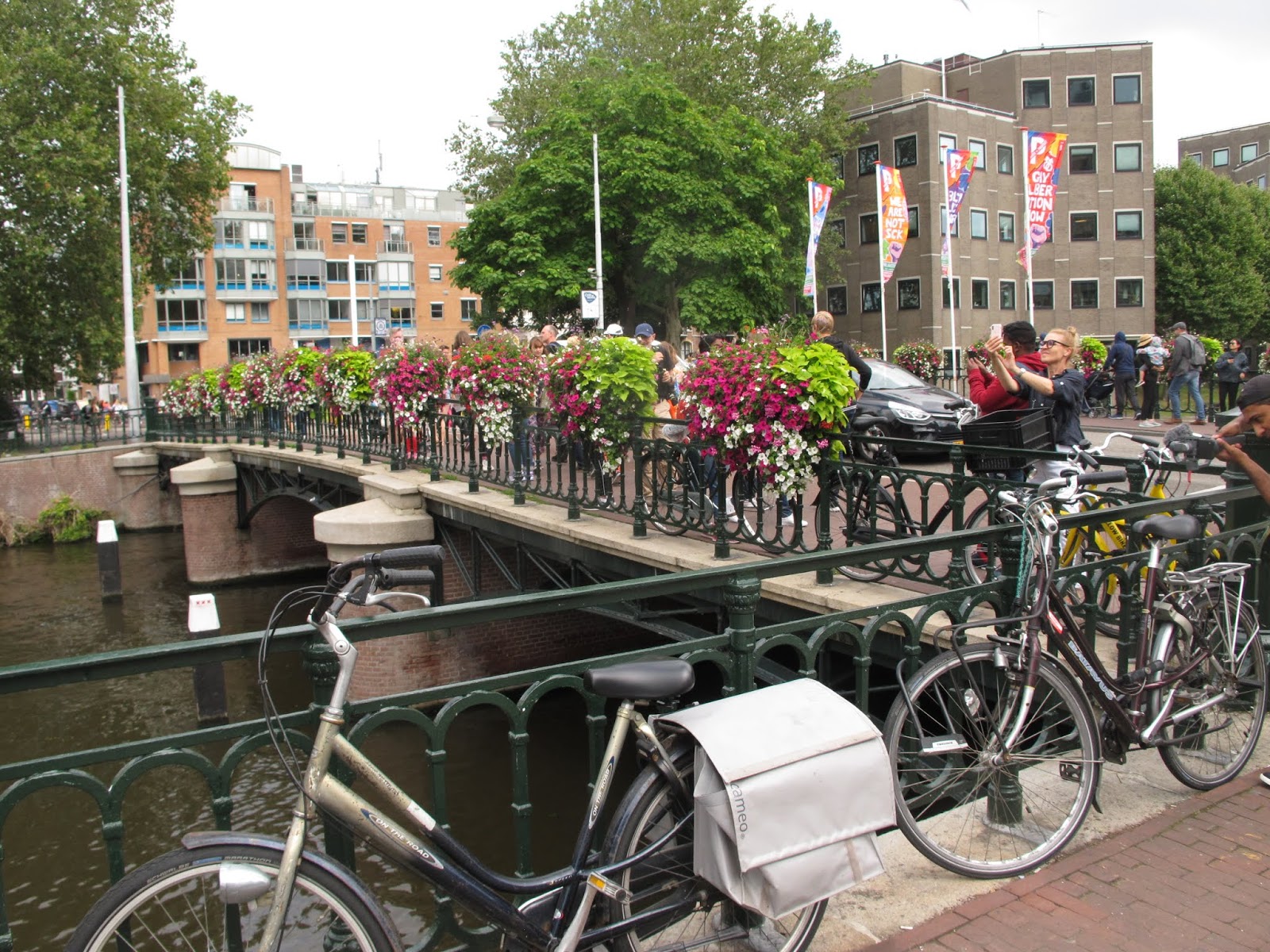 biebkriebels Flower bridge