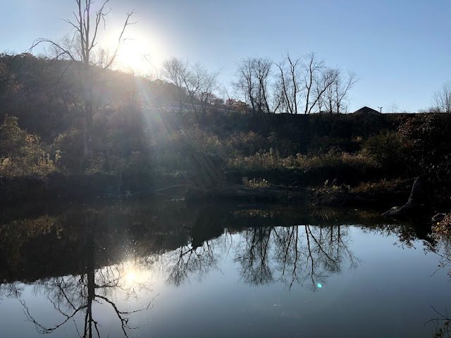 Pittsburgh Fishing North Park Pine Creek