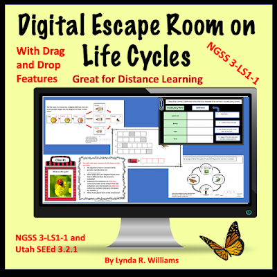 Life Cycle escape room