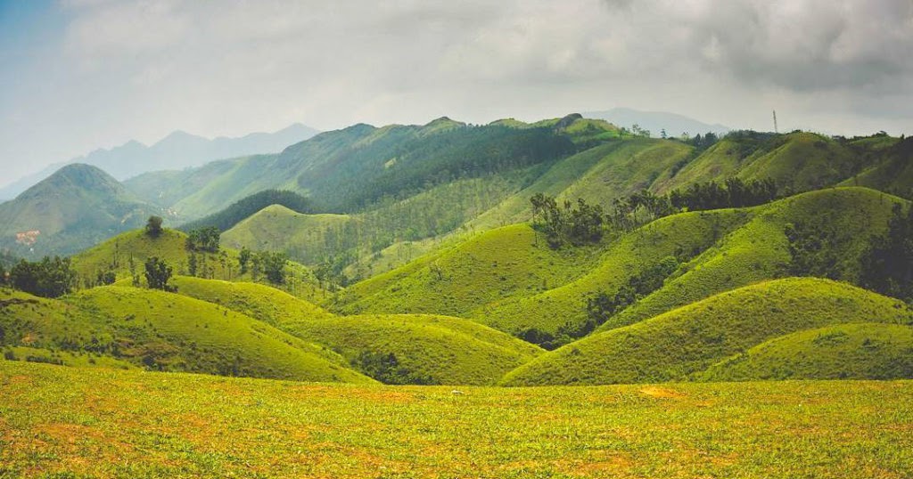 One With Nature On A Trip To Vagamon Kerala Indian Beauty and