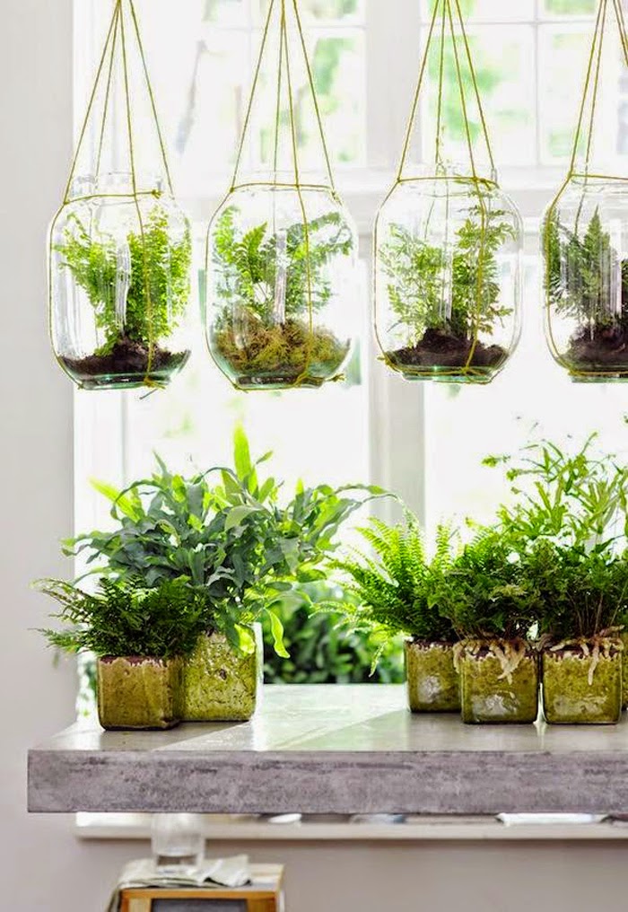 10 DIY Plant Ideas for Fall | Poppytalk 10 DIY Plant Ideas for Fall | Poppytalk on Hanging Plant Ideas
id=30486