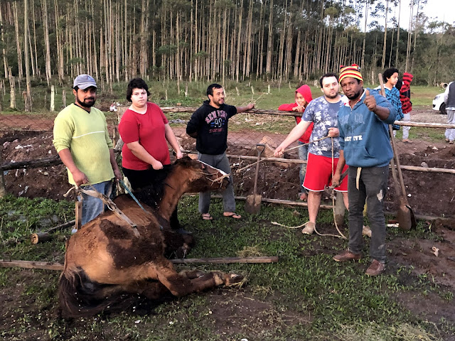 TAQUARI/RS: Voluntários da ONG OS SALVADORES e moradores, se unem para levantar égua debilitada