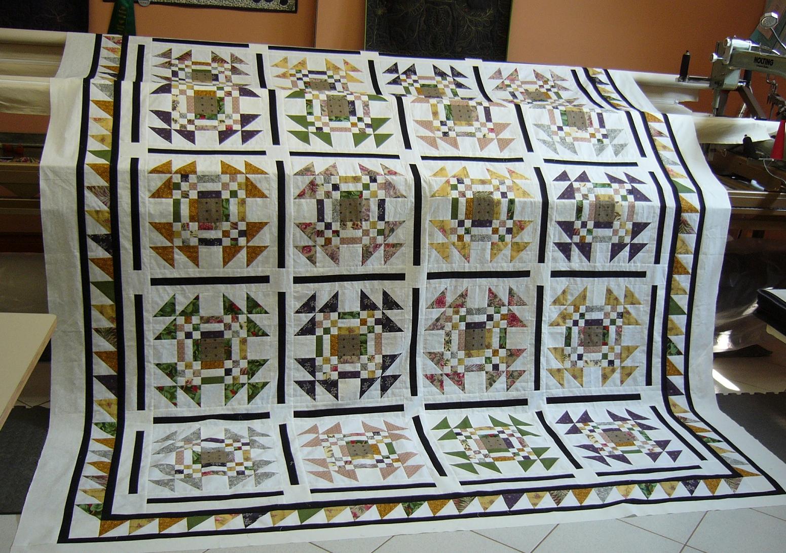 caledonia quilter the commission quilt borders & asparagus/cedars