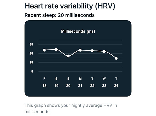 Fitbit Health And Fitness Scores And Stats Explained