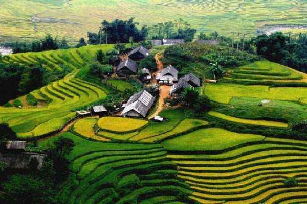 Dataran Tinggi Tram Ton Pass Fansipan Di Kota Sapa Vietnam ...