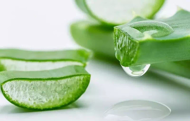 √ Manfaat Lidah Buaya Untuk Wajah