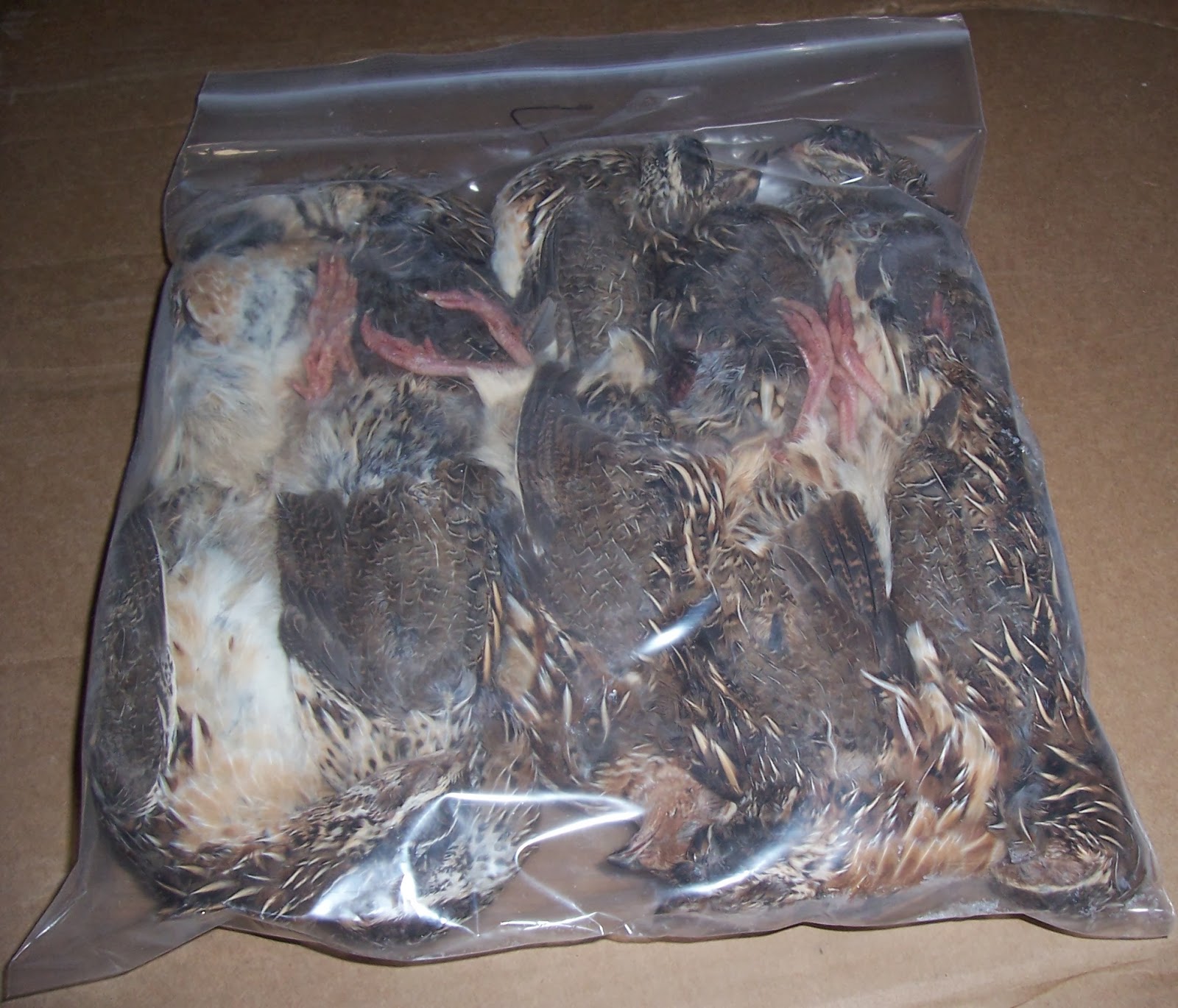 Jason's Quail Company