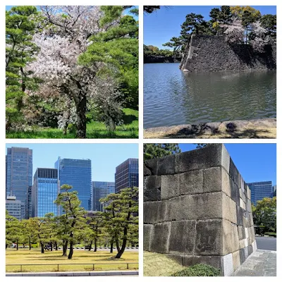 Japan in April: Imperial Palace Gardens in Tokyo